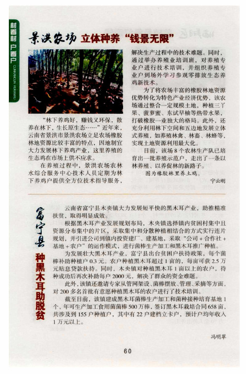 富宁县种黑木耳助脱贫