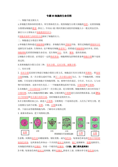 2023年高考生物一轮复习教材知识挖空练及易错提醒专题03细胞的生命历程(答案版)