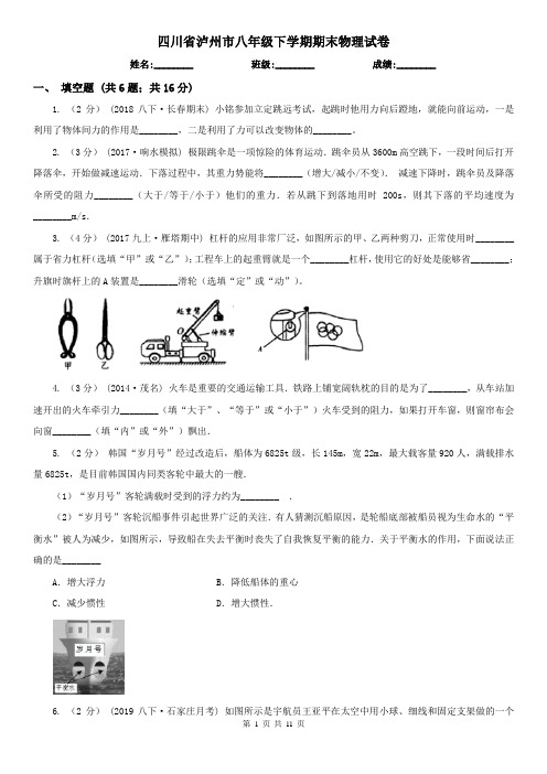 四川省泸州市八年级下学期期末物理试卷 