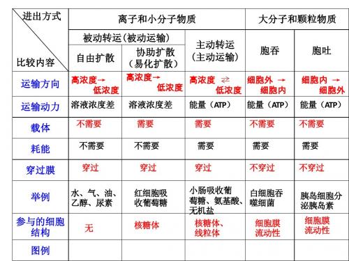 物质进出细胞的方式