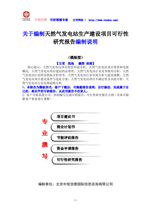 关于编制天然气发电站生产建设项目可行性研究报告编制说明