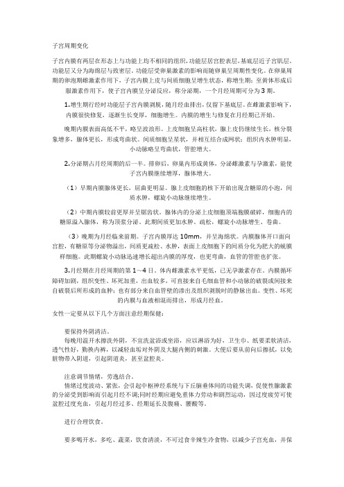 子宫周期变化