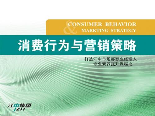 消费行为与营销策略