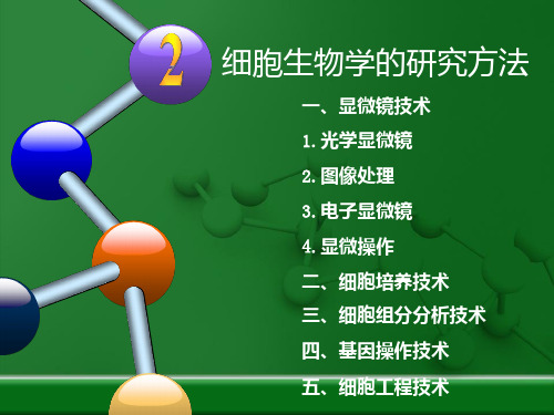 02细胞生物学技术PPT课件