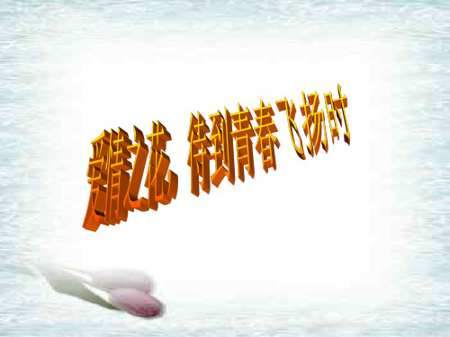 爱河面前请止步   主题班会 获奖课件PPT