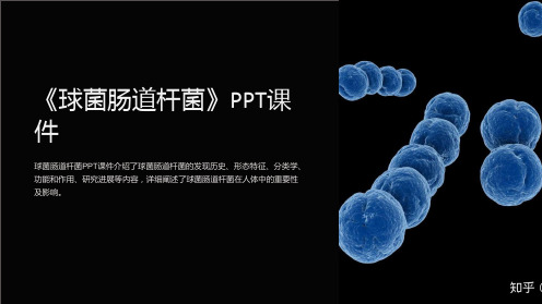 《球菌肠道杆菌》课件