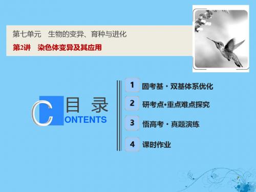2019版高考生物一轮复习第七单元生物的变异育种与进化第二讲染色体变异及其应用课件苏教版201806254111