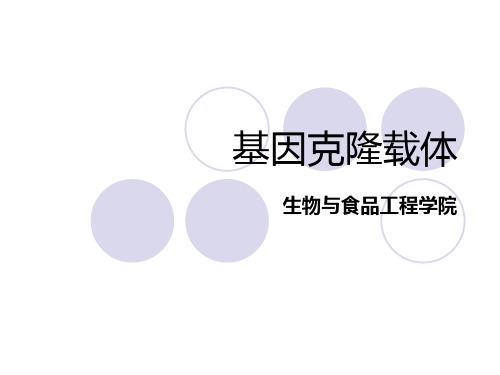 基因克隆载体-噬菌体