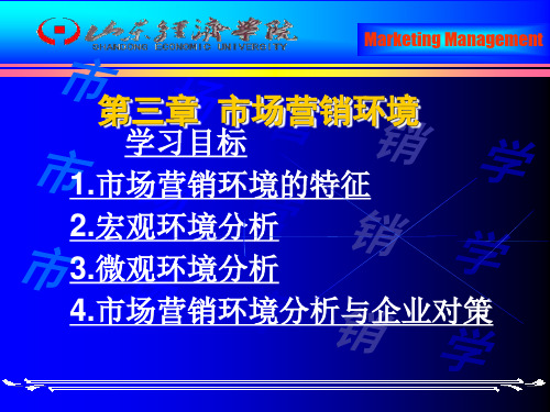 市场营销环境分析与企业对策.pptx