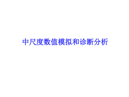 中尺度数值模拟和诊断分析