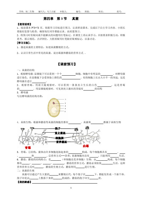 第四章  第三节  真菌