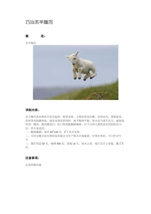 巧治羔羊腹泻
