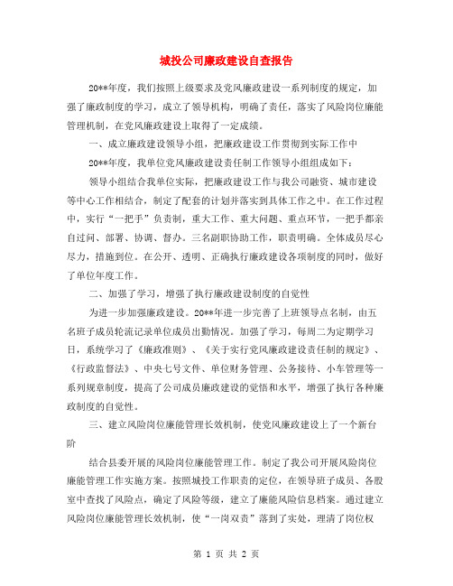 城投公司廉政建设自查报告