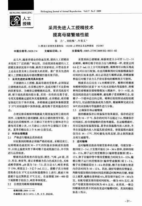 采用先进人工授精技术提高母猪繁殖性能