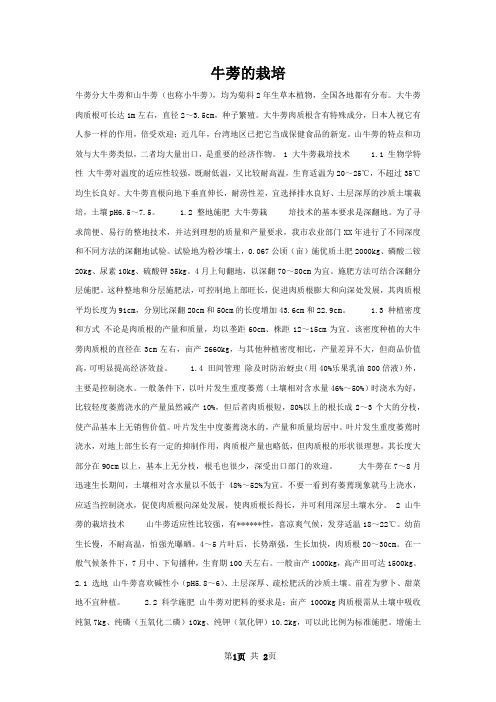 牛蒡的栽培