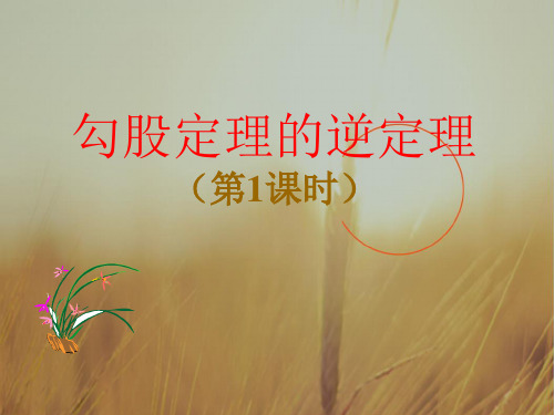 最新-八年级数学下册 勾股定理的逆定理课件 人教新课标版 精品 