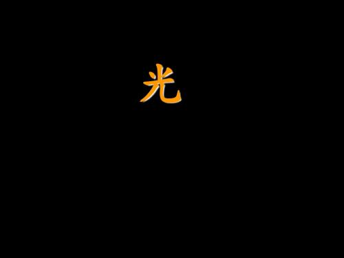六年级上册科学光的反射现象粤教版