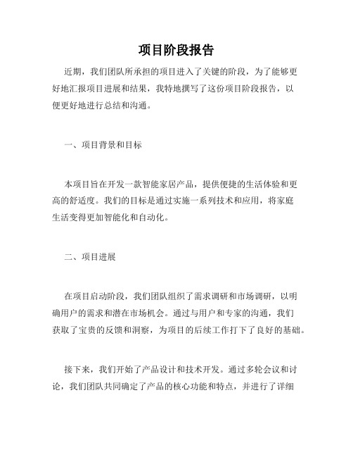 项目阶段报告