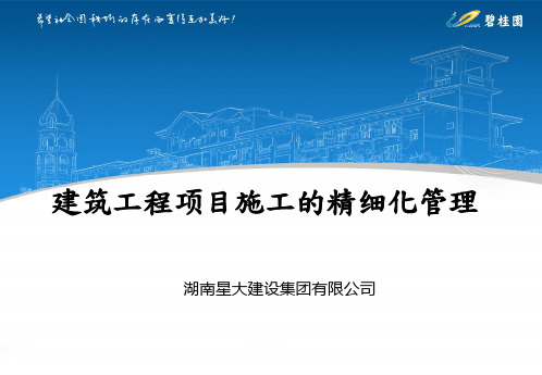 碧桂园SSGF铝模工法建筑工程项目施工的精细化管理(授课)