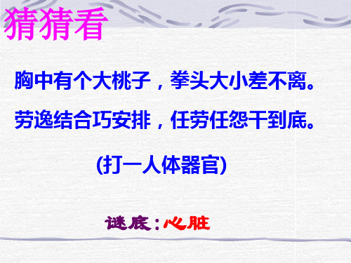 人教版初中生物七年级下册课件-4.4.3 输送血液的泵——心脏59