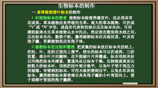 高中生物《生物标本的制作》最新精品PPT课件