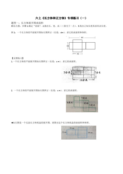 苏教版六年级上册《长方体和正方体》专项练习