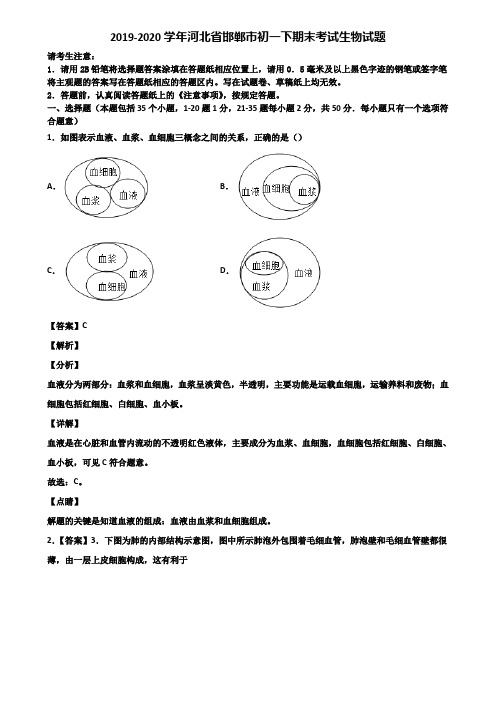 2019-2020学年河北省邯郸市初一下期末考试生物试题含解析