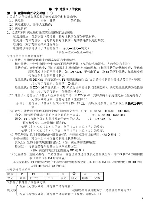 2014果皮 种皮