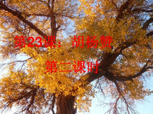 23《胡杨赞》第二课时课件PPT