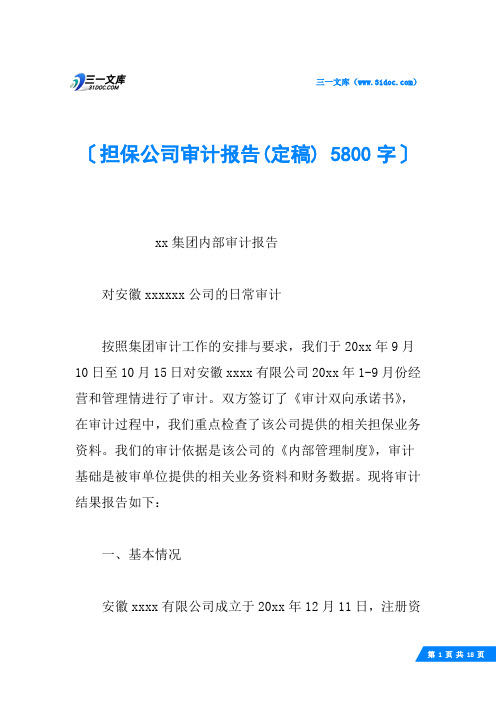 担保公司审计报告(定稿) 5800字
