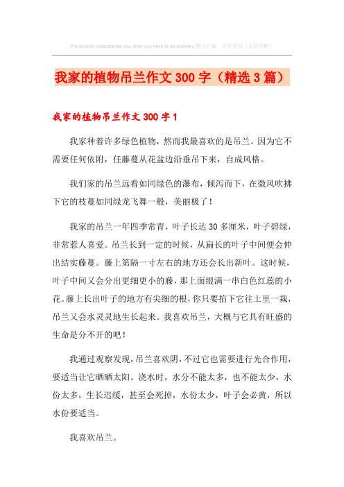 我家的植物吊兰作文300字(精选3篇)