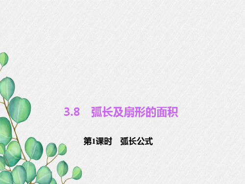 《弧长及扇形的面积》PPT课件 (公开课)2022年浙教版 (3)