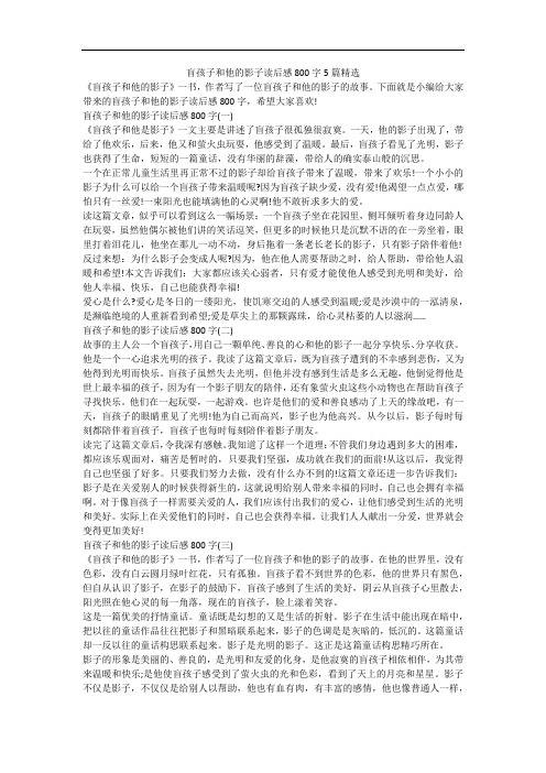 盲孩子和他的影子读后感800字5篇精选