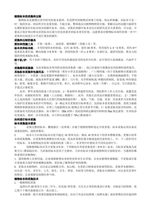 植物标本的采集和压制