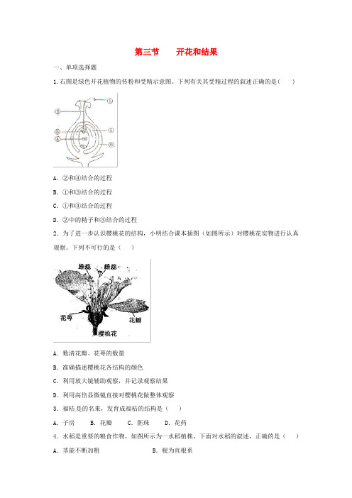 七年级生物.2.3《开花和结果》同步练习3新人教版
