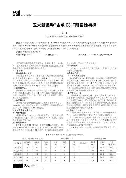 玉米新品种“吉单631”耐密性初探