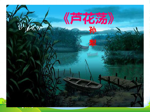 沪教版语文八年级上册《芦花荡》课件 2(共39张PPT)