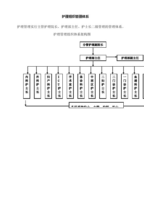 护理管理组织体系架构图