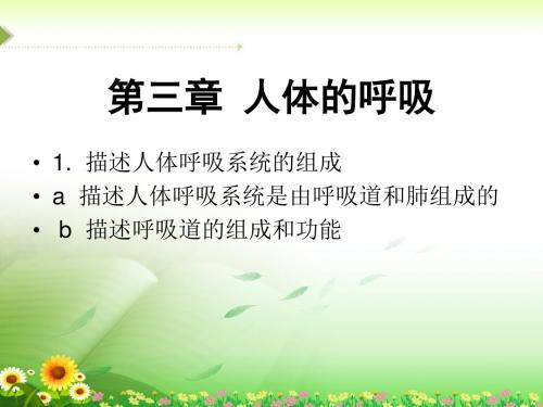 生物七年级下人教版4.3《人体的呼吸》复习课件