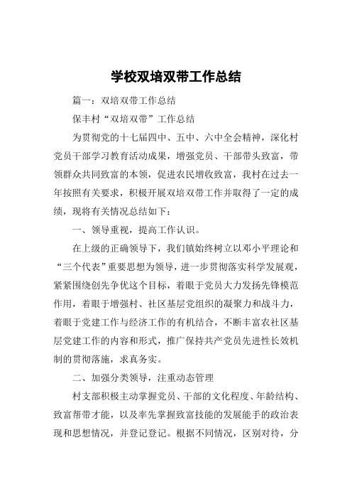 学校双培双带工作总结