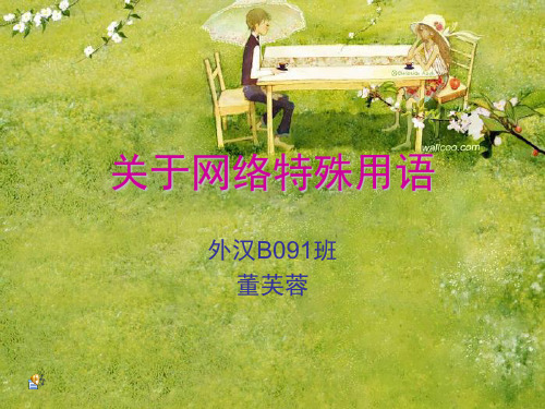 关于网络特殊用语