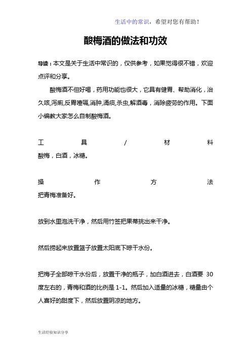 酸梅酒的做法和功效