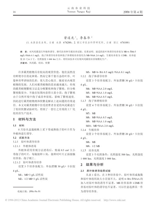 凤尾蕨组培快繁技术研究
