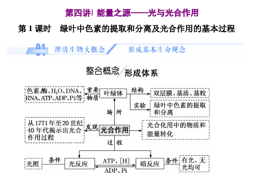 高三生物一轮复习资料必修一3.4.1第四讲  第1课时 绿叶中色素的提取和分离及光合作用的基本过程