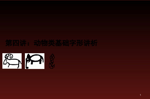 汉字知识讲座：动物类基础字形讲析