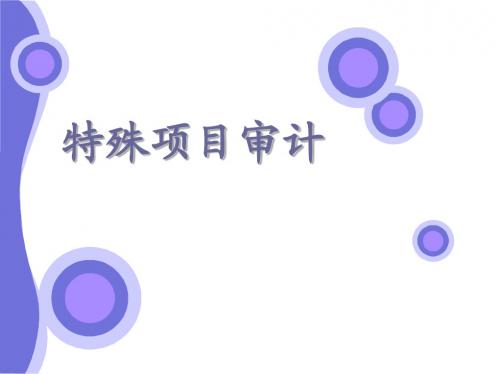 特殊项目审计