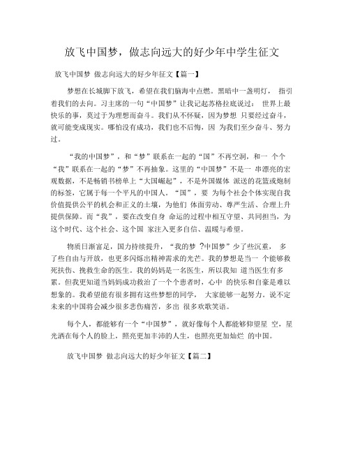 放飞中国梦,做志向远大的好少年中学生征文
