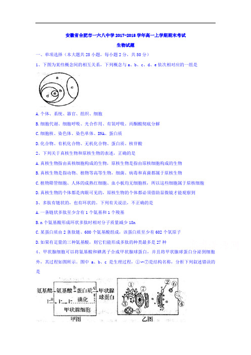 安徽省合肥市一六八中学2017-2018学年高一上学期期末