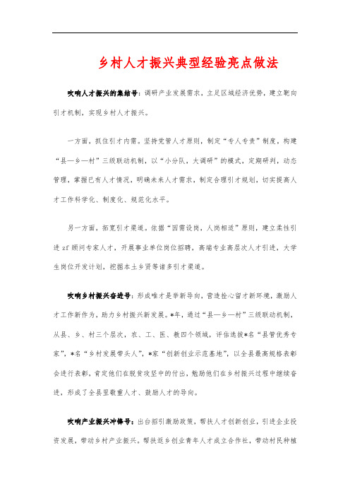 乡村人才振兴典型经验亮点做法