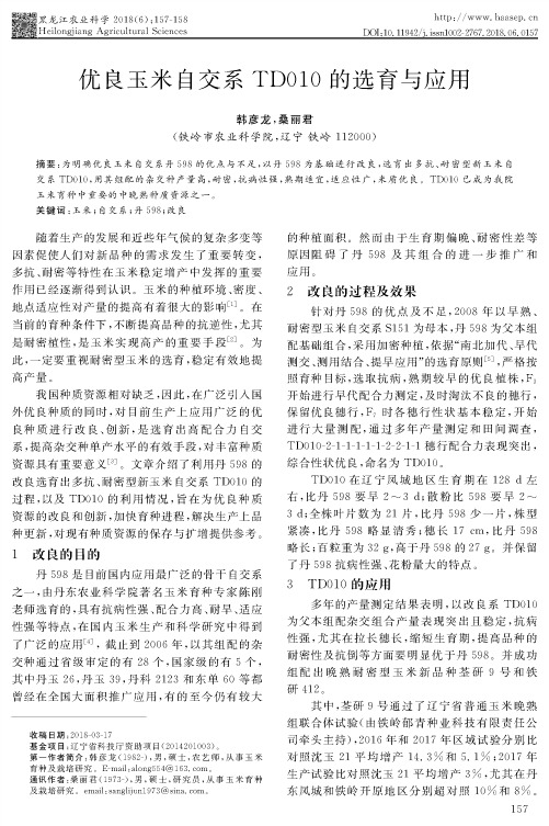 优良玉米自交系TD010的选育与应用